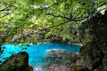 Lago nella foresta