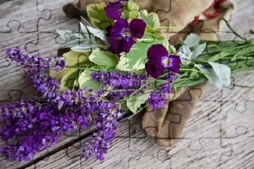 Lavendel, Stiefmütterchen und Gartenhandschuhe