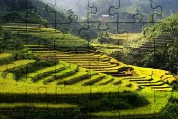 Arrozais, Mu Cang Chai, Vietname