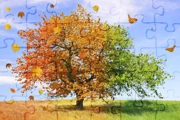 Season Tree  jigsaw puzzle