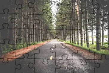 Scenic Road jigsaw puzzle