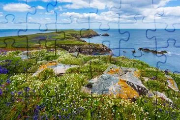 Saltee Island Great, Ierland jigsaw puzzle