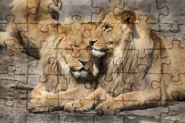 Zoo Parc Overloon, Netherlands jigsaw puzzle