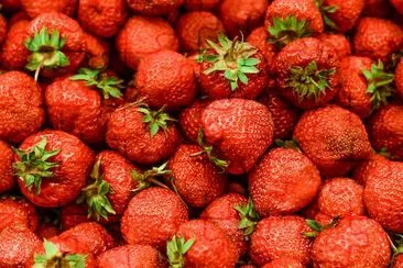 Strawberries jigsaw puzzle