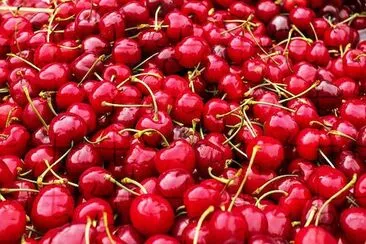 Sweet Cherries jigsaw puzzle