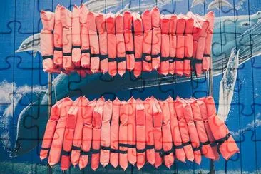 Life Jackets jigsaw puzzle