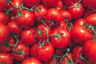 Tomatoes Close Up jigsaw puzzle