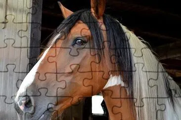 Brown Horse jigsaw puzzle