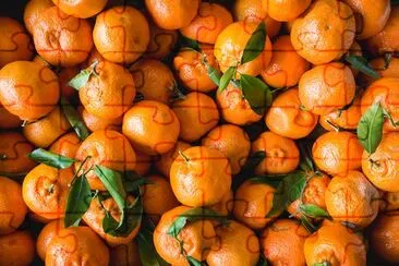 Tangerines jigsaw puzzle