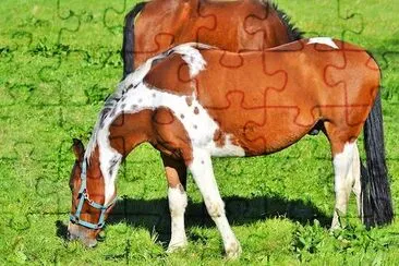 Brown Horse jigsaw puzzle