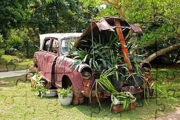 Voiture vintage avec des plantes