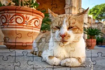 Lazy Cat from Crete jigsaw puzzle