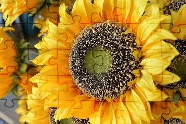 Sun Flower jigsaw puzzle