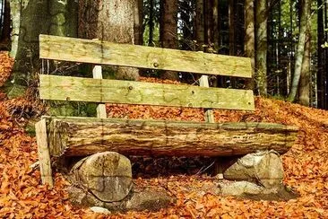 Wooden Bench jigsaw puzzle