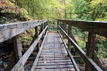 Wood Bridge jigsaw puzzle