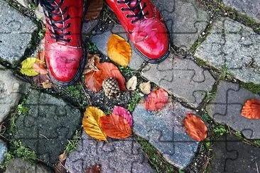 Red Shoes jigsaw puzzle