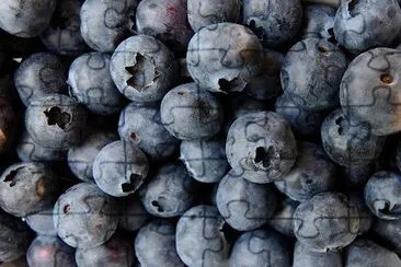 Blueberries jigsaw puzzle