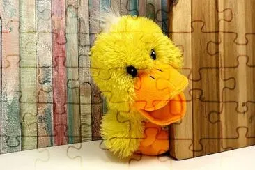 Duck Toy jigsaw puzzle