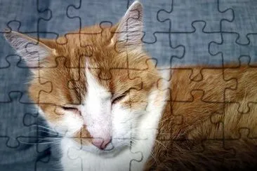 Sleepy Cat jigsaw puzzle