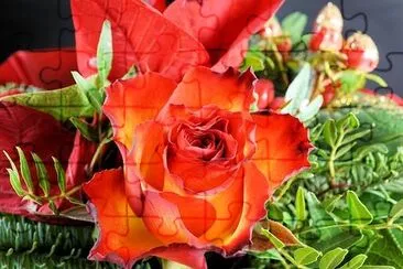 Red Rose jigsaw puzzle