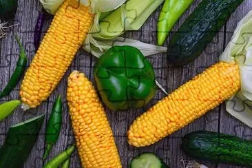 Légumes frais et sains