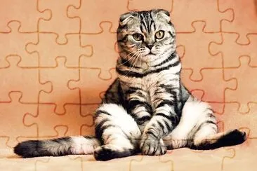 Sitting Cat jigsaw puzzle