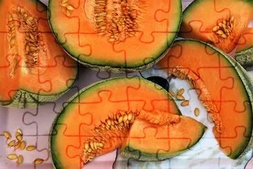 Tasty Melon jigsaw puzzle