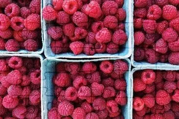 Raspberries jigsaw puzzle