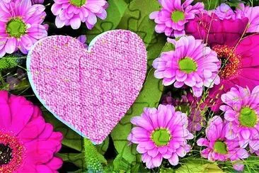 Pink Flowers jigsaw puzzle