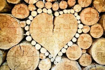 Coeur en bois