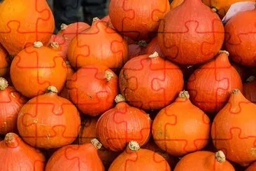 Orange Gourd jigsaw puzzle