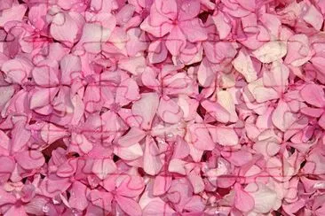 Pink Flora jigsaw puzzle