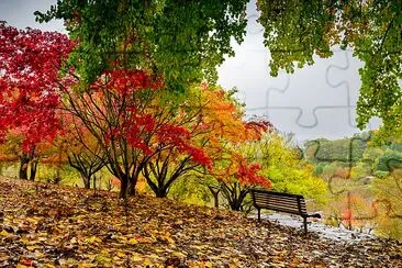 Banc dans le parc d'automne sous la pluie