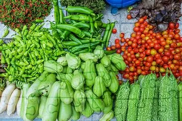 Verduras frescas y orgánicas