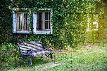 Weißes Fenster im Haus mit grünem Efeu bedeckt