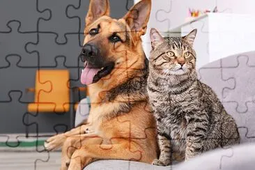 Adorable Cat and Dog resting together on sofa jigsaw puzzle