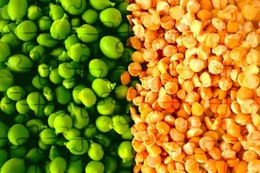 Orange & green peas legume jigsaw puzzle