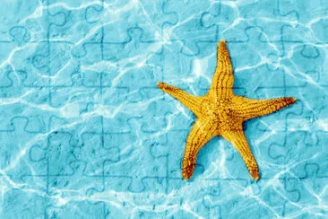 Starfish in Blue Water jigsaw puzzle