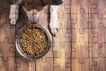 Bol de croquettes sèches pour chiens et pattes de chiens et neb