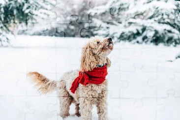 Cute and funny little dog with red scarf playing a jigsaw puzzle