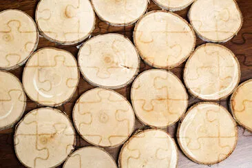 Composition of cut wooden round circles. Trunk sli jigsaw puzzle