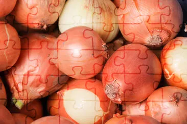 Fresh onions. Onions background. Ripe onions. Onio jigsaw puzzle