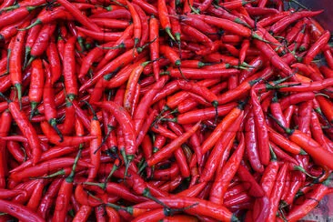 Primo piano di peperoncino rosso fresco sfondo, selettivo