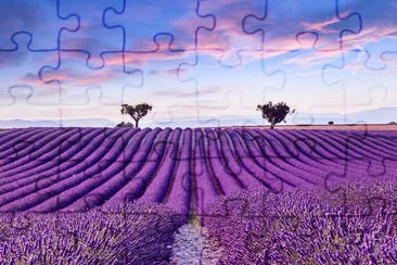 Paisaje de puesta de sol de verano de campo de lavanda cerca de Valens