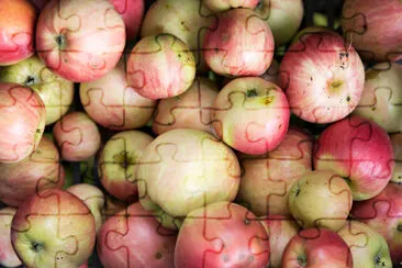 manzanas orgánicas maduras frescas directamente del huerto