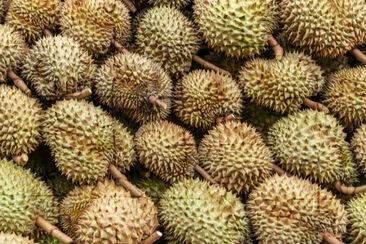 Durian roi des fruits, mise à plat de Durian Backgroun