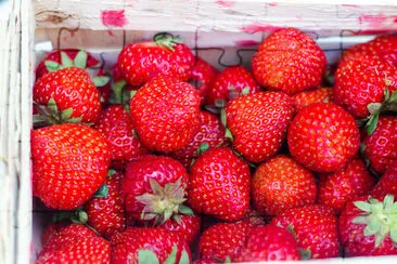 Fragole rosse luminose fresche in un cestino di legno o