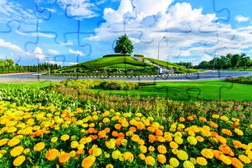 Caléndulas (Tagetes erecta) y otras flores en pu