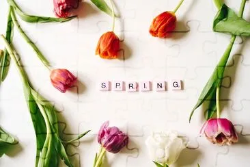 Hello Spring jigsaw puzzle