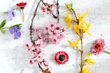 Galhos desabrochando com flores delicadas